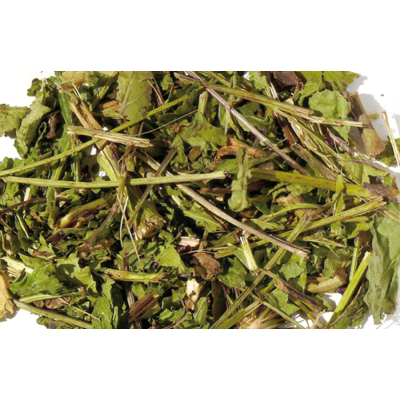 Echinacea  - Hugro pre packed
