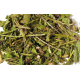 Echinacea  - Hugro pre packed