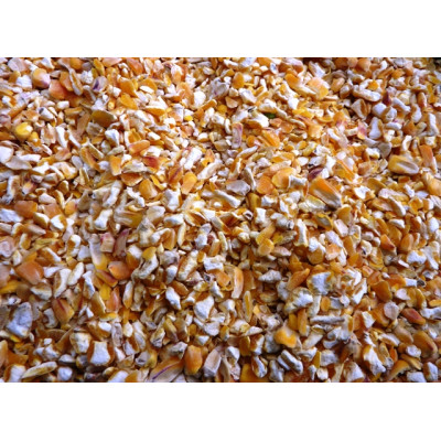 Maize - Cut (Grits)