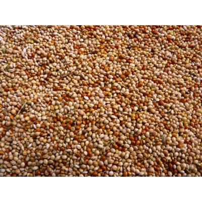 Millet - Mixed