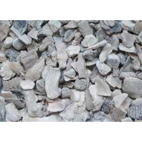 Oystershell - Coarse