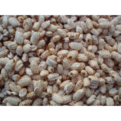 Rice - Puffed Rice - Puffed