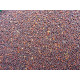 Rapeseed - Small Red