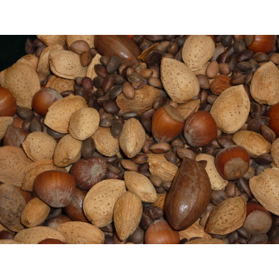 Mixed Nuts In Shell - Small Mixed Nuts In Shell - Small
