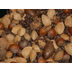 Mixed Nuts In Shell - Small Mixed Nuts In Shell - Small